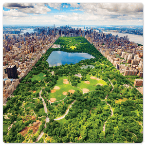 Central Park in New York - 8in x 8in