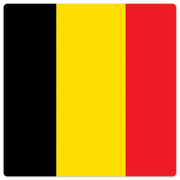 The Belgium Flag - 8in x 8in