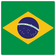 The Brazil Flag - 8in x 8in