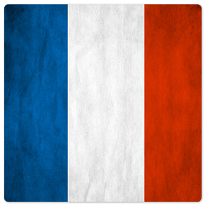 The French Grunge Flag - 8in x 8in