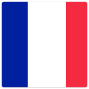 The French Flag - 8in x 8in