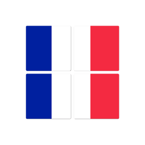 The French Flag - 16in x 16in