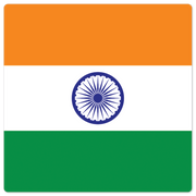 The Flag of India - 8in x 8in