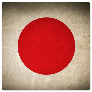 The Japanese Grunge Flag - 8in x 8in