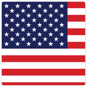 The American Flag - 8in x 8in