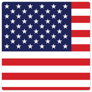 The American Flag - 8in x 8in