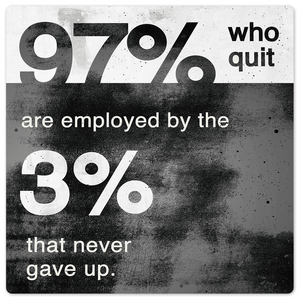 The 97% Who Quit… - 8in x 8in