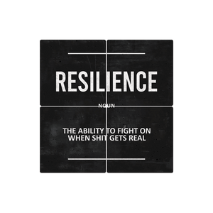 Definition of Resilience - 16in x 16in