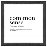 Definition of Common Sense - 8in x 8in